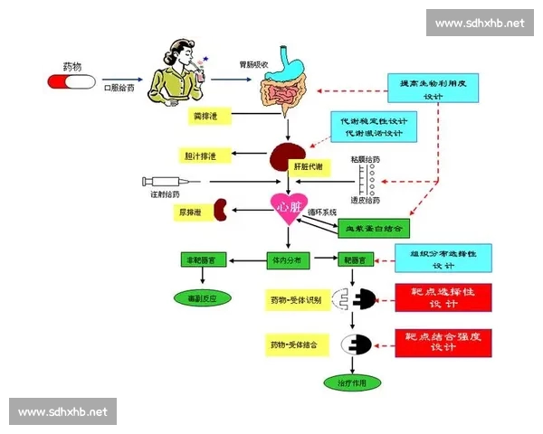 基于胜率分析的策略优化与实践应用研究